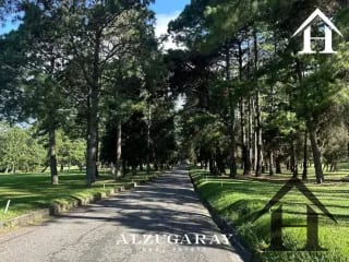 terreno plano Country Club zona 11 — Terreno en Venta en Zona 11, Guatemala, Ciudad — miniatura 5 de 6