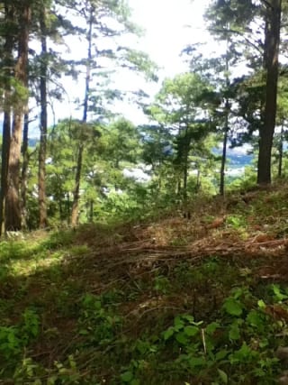 Terreno en venta zona 16, Vista Hermosa IV — Terreno en Venta en Vista Hermosa IV, Zona 16, Guatemala, Ciudad — miniatura 5 de 6