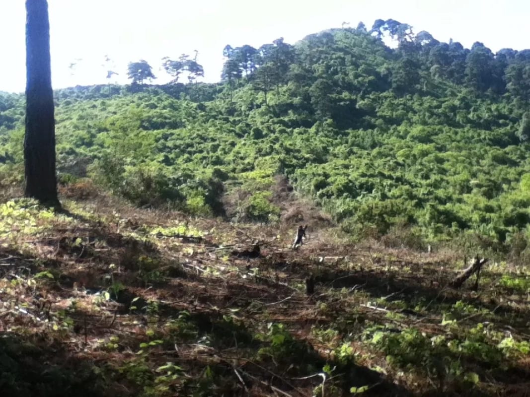 Terreno en venta zona 16, Vista Hermosa IV — Terreno en Venta en Vista Hermosa IV, Zona 16, Guatemala, Ciudad — foto 4 de 6