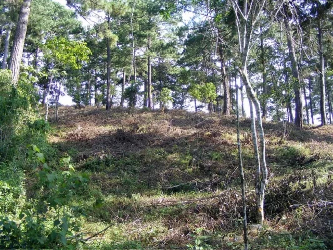 Terreno en venta zona 16, Vista Hermosa IV — Terreno en Venta en Vista Hermosa IV, Zona 16, Guatemala, Ciudad — foto 2 de 6