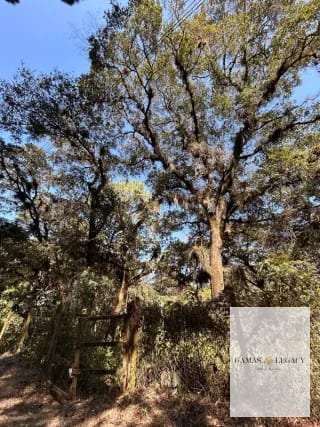 Terreno en Venta, El Encinal — Terreno en Venta en Zona 10 Mixco, Guatemala, Ciudad — miniatura 2 de 4