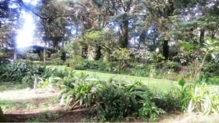 Hermosa propiedad en Santa Elena Barillas — Terreno en Venta en Santa Elena Barillas, Guatemala, Ciudad — miniatura 8 de 8