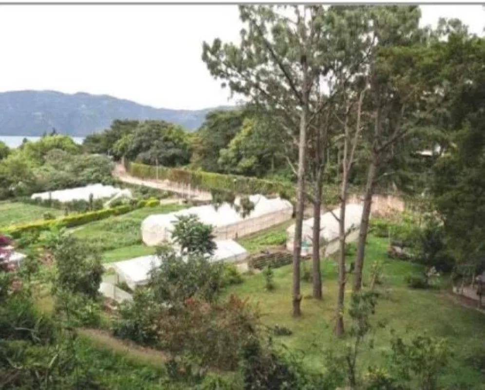 TERRENO EN VENTA CERRO DE ORO ATITLAN — Casa vacacional en Venta en Cerro de Oro, Sololá — foto 2 de 5