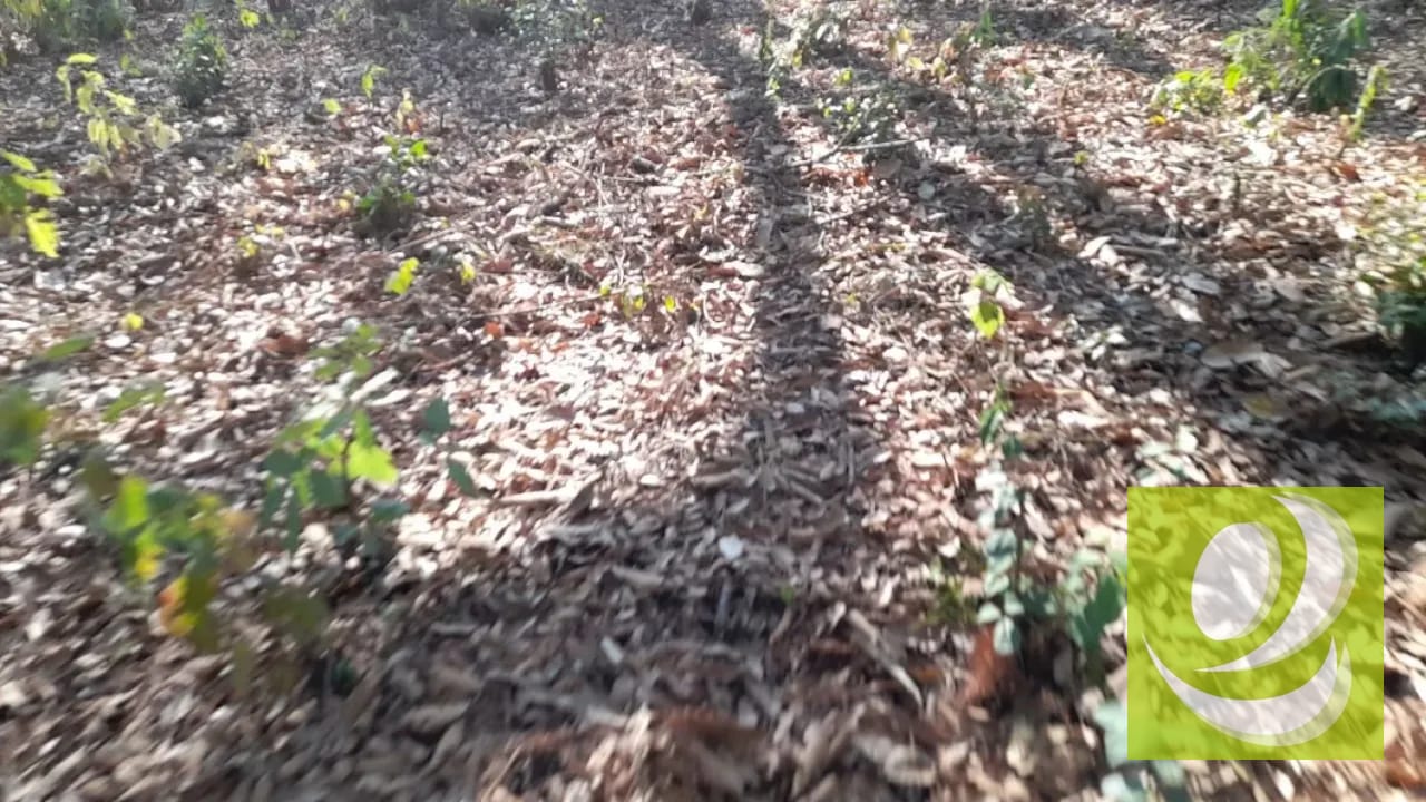 Vendo Terreno en El Encinal — Terreno en Venta en El Encinal, Zona 7 Mixco, Guatemala, Ciudad — foto 6 de 6