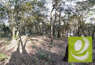 Vendo Terreno en El Encinal — Terreno en Venta en El Encinal, Zona 7 Mixco, Guatemala, Ciudad — miniatura 1 de 6