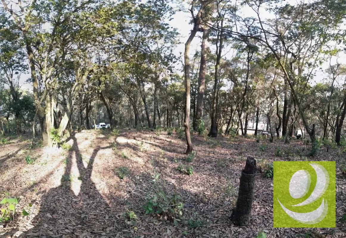 Vendo Terreno en El Encinal — Terreno en Venta en El Encinal, Zona 7 Mixco, Guatemala, Ciudad — foto 1 de 6