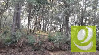 Vendo Terreno en El Encinal — Terreno en Venta en El Encinal, Zona 7 Mixco, Guatemala, Ciudad — miniatura 3 de 6
