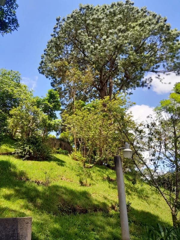 Casa en Venta San Jorge Muxbal Calle Liquidambar — Casa en Venta en Muxbal, Guatemala, Ciudad — foto 7 de 15