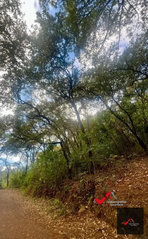 Terreno en Venta Labor de Castilla II, Zona 9 de Mixco — Terreno en Venta en Zona 9, Guatemala, Ciudad — foto 4 de 5