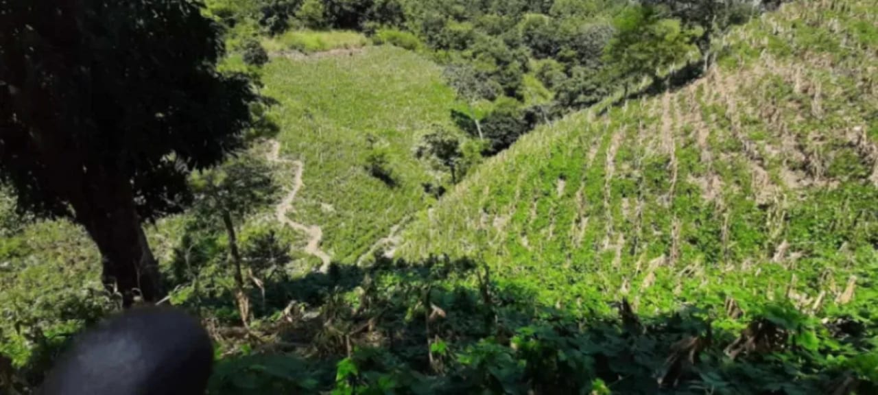 Finca de 30 Manzanas en San Pedro Ayampuc – Ideal para Inversión o Ganadería — Finca en Venta en San Pedro Ayampuc, Guatemala, Ciudad — foto 1 de 7