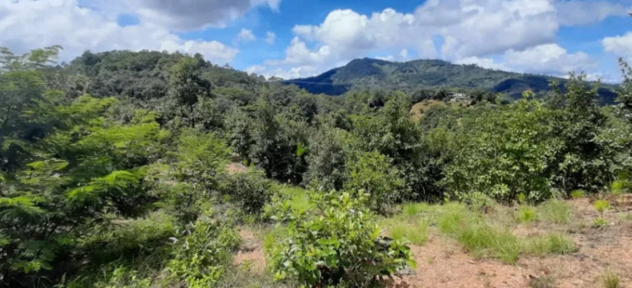 Finca de 30 Manzanas en San Pedro Ayampuc – Ideal para Inversión o Ganadería — Finca en Venta en San Pedro Ayampuc, Guatemala, Ciudad — foto 7 de 7