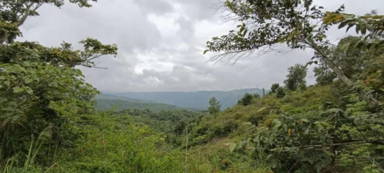 Finca de 30 Manzanas en San Pedro Ayampuc – Ideal para Inversión o Ganadería — Finca en Venta en San Pedro Ayampuc, Guatemala, Ciudad — foto 6 de 7