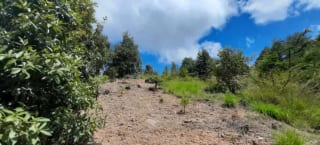 Finca de 30 Manzanas en San Pedro Ayampuc – Ideal para Inversión o Ganadería — Finca en Venta en San Pedro Ayampuc, Guatemala, Ciudad — miniatura 3 de 7
