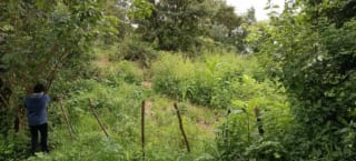 Finca de 30 Manzanas en San Pedro Ayampuc – Ideal para Inversión o Ganadería — Finca en Venta en San Pedro Ayampuc, Guatemala, Ciudad — miniatura 2 de 7