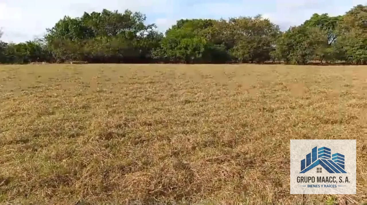 VENTA FINCA MOYUTA JUTIAPA — Finca en Venta en Moyuta, Jutiapa — foto 9 de 10