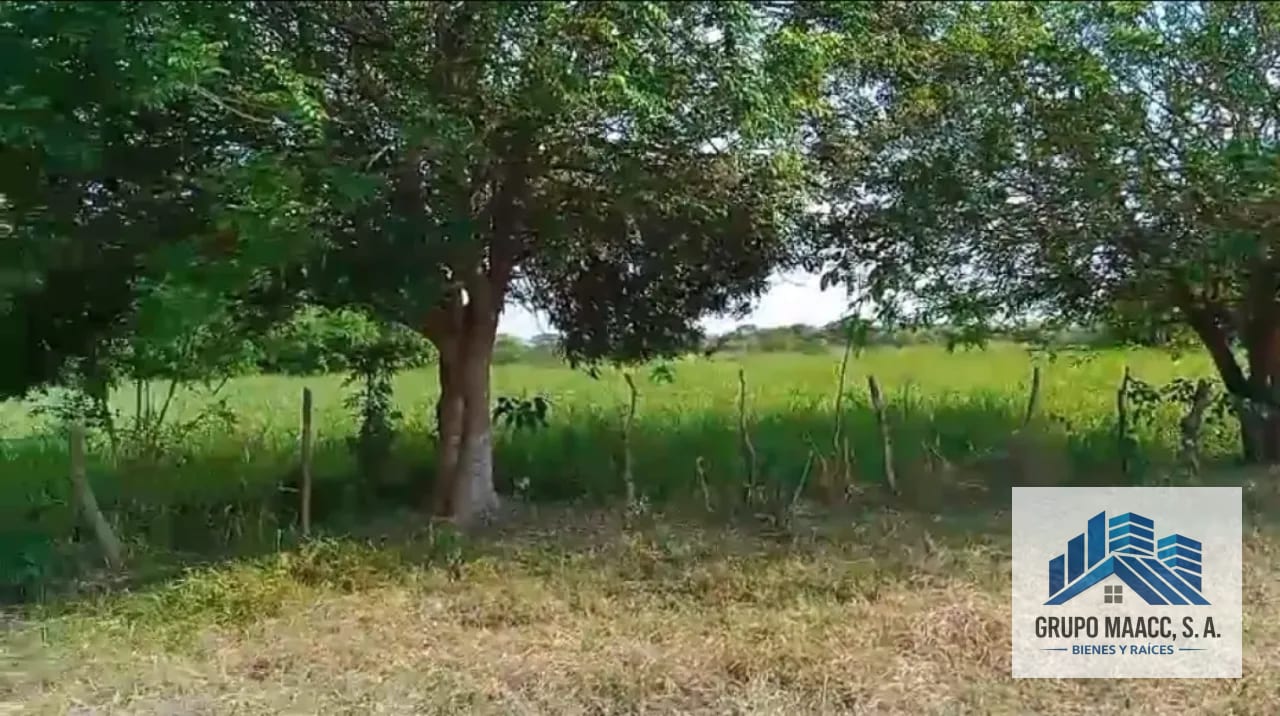 VENTA FINCA MOYUTA JUTIAPA — Finca en Venta en Moyuta, Jutiapa — foto 7 de 10
