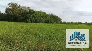VENTA FINCA MOYUTA JUTIAPA — Finca en Venta en Moyuta, Jutiapa — miniatura 6 de 10