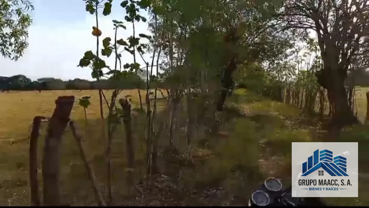 VENTA FINCA MOYUTA JUTIAPA — Finca en Venta en Moyuta, Jutiapa — foto 4 de 10