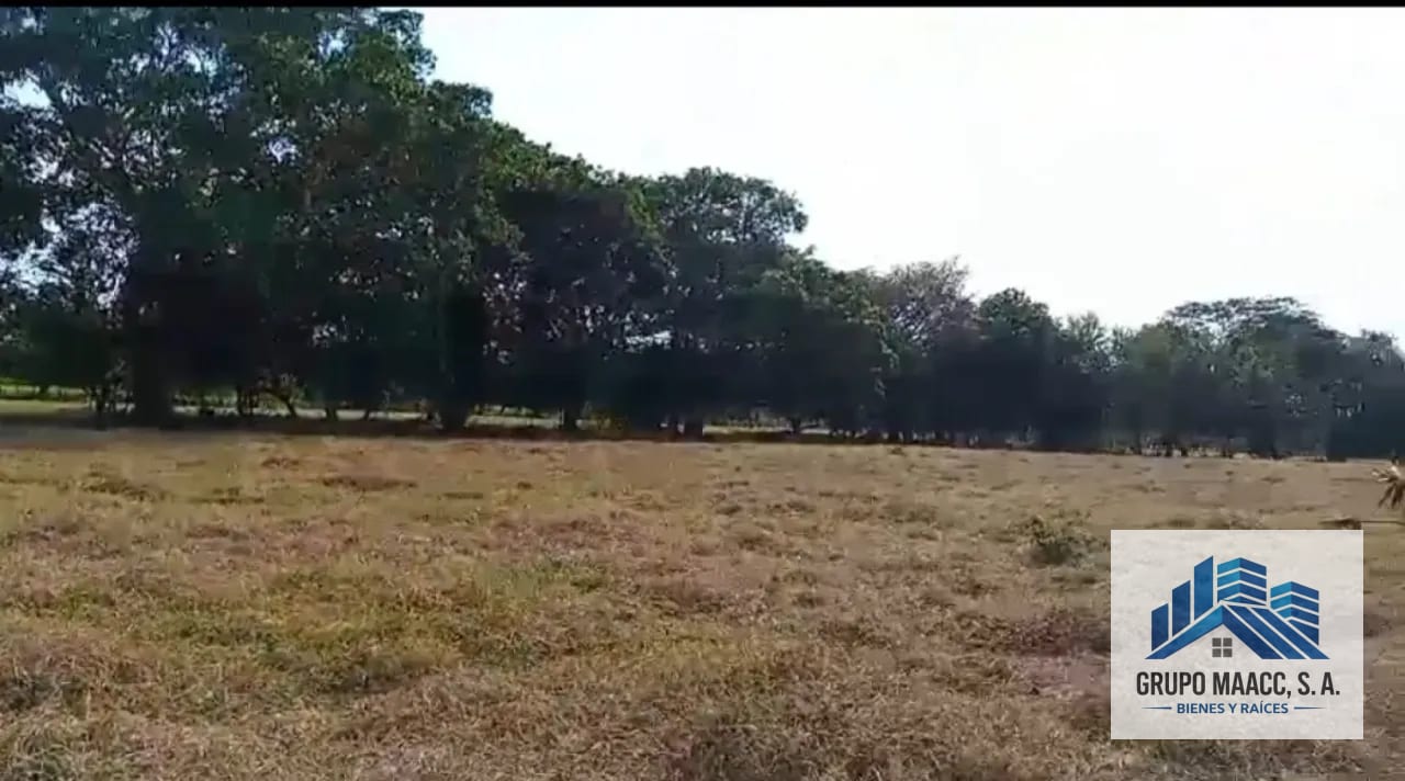 VENTA FINCA MOYUTA JUTIAPA — Finca en Venta en Moyuta, Jutiapa — foto 3 de 10