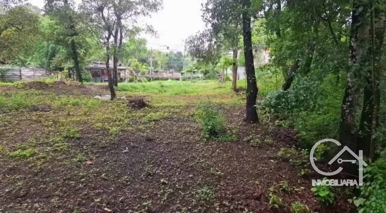 TERRENO en Venta - San Pedro Sacatepequez — Terreno en Venta en San Pedro Sacatepéquez, Sacatepéquez — foto 1 de 7