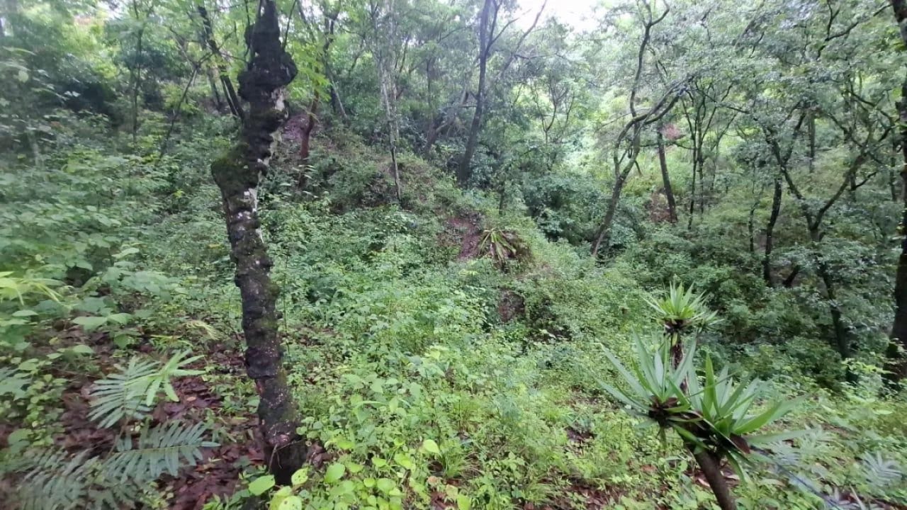 TERRENO en Venta - San Pedro Sacatepequez — Terreno en Venta en San Pedro Sacatepéquez, Sacatepéquez — foto 7 de 7