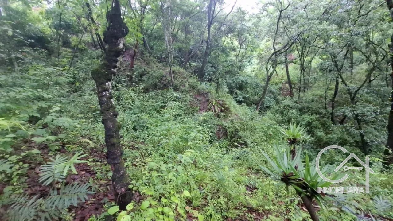 TERRENO en Venta - San Pedro Sacatepequez — Terreno en Venta en San Pedro Sacatepéquez, Sacatepéquez — foto 7 de 7