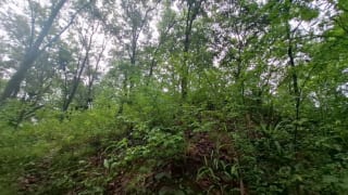 TERRENO en Venta - San Pedro Sacatepequez — Terreno en Venta en San Pedro Sacatepéquez, Sacatepéquez — miniatura 6 de 7
