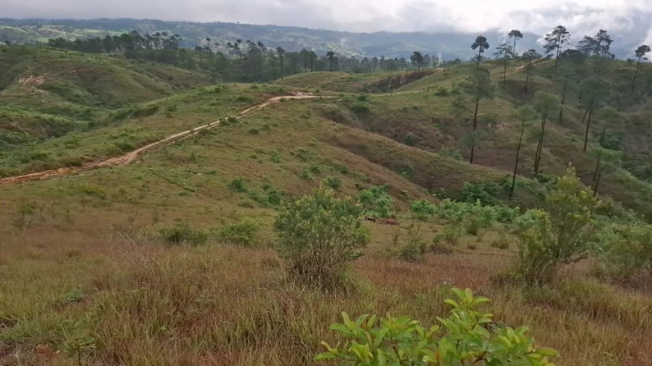 GRANJA en Venta - San Pedro Sacatepéquez Prados de La Floresta — Terreno en Venta en San Pedro Sacatepéquez, Sacatepéquez — foto 8 de 9