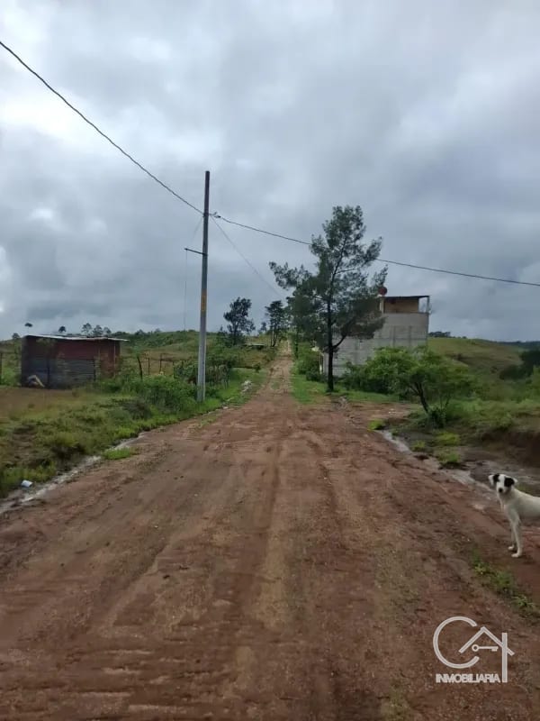 GRANJA en Venta - San Pedro Sacatepéquez Prados de La Floresta — Terreno en Venta en San Pedro Sacatepéquez, Sacatepéquez — foto 7 de 9