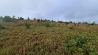 GRANJA en Venta - San Pedro Sacatepéquez Prados de La Floresta — Terreno en Venta en San Pedro Sacatepéquez, Sacatepéquez — miniatura 6 de 9