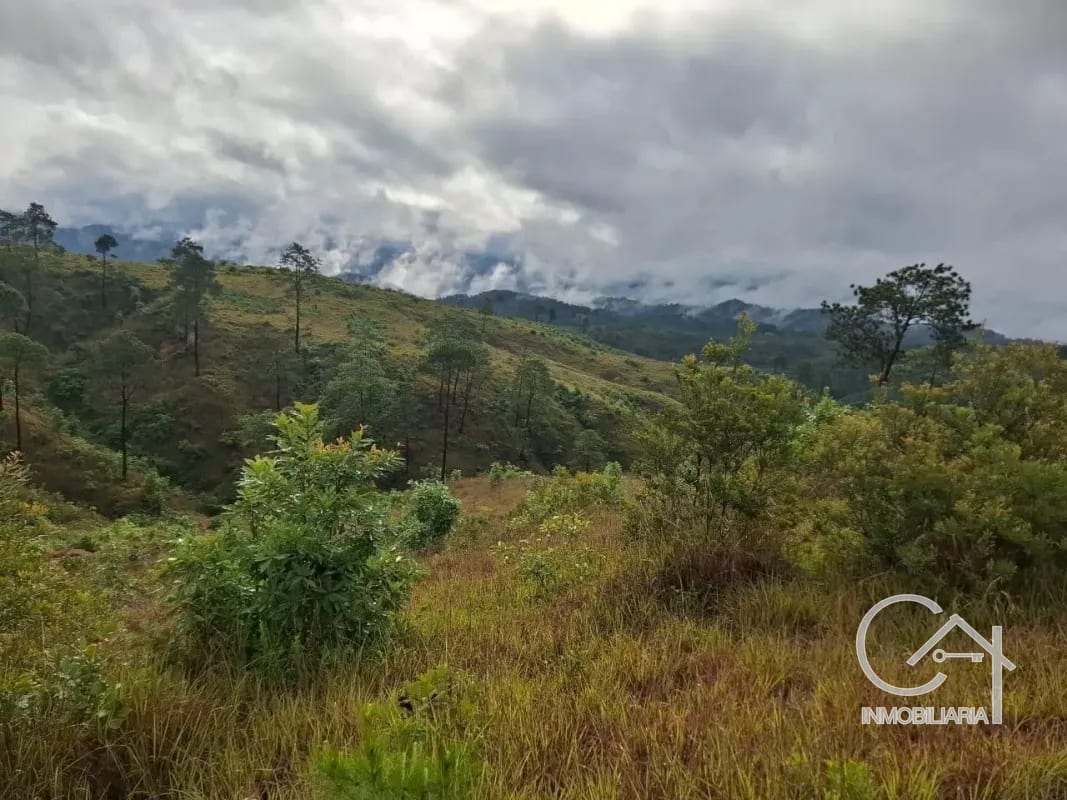 GRANJA en Venta - San Pedro Sacatepéquez Prados de La Floresta — Terreno en Venta en San Pedro Sacatepéquez, Sacatepéquez — foto 5 de 9