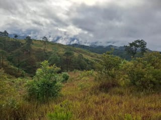 GRANJA en Venta - San Pedro Sacatepéquez Prados de La Floresta — Terreno en Venta en San Pedro Sacatepéquez, Sacatepéquez — miniatura 5 de 9