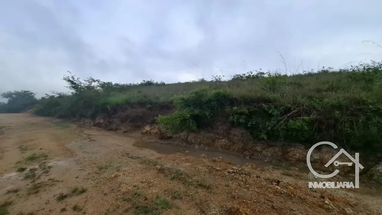 GRANJA en Venta - San Pedro Sacatepéquez Prados de La Floresta — Terreno en Venta en San Pedro Sacatepéquez, Sacatepéquez — foto 4 de 9