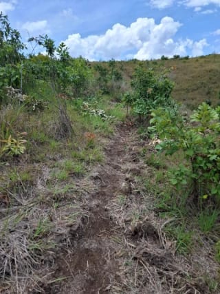 GRANJA en Venta - San Pedro Sacatepéquez Prados de La Floresta — Terreno en Venta en San Pedro Sacatepéquez, Sacatepéquez — miniatura 3 de 9