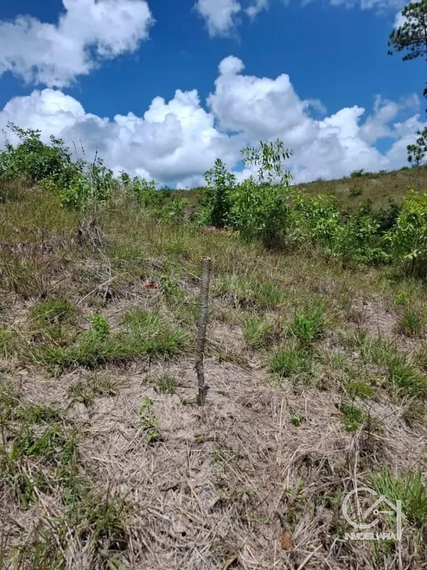 GRANJA en Venta - San Pedro Sacatepéquez Prados de La Floresta — Terreno en Venta en San Pedro Sacatepéquez, Sacatepéquez — foto 2 de 9