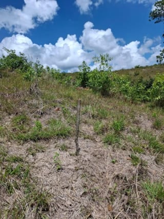 GRANJA en Venta - San Pedro Sacatepéquez Prados de La Floresta — Terreno en Venta en San Pedro Sacatepéquez, Sacatepéquez — miniatura 2 de 9