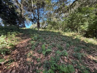 Venta de Terreno en San Juan Sacatepequez — Terreno en Venta en San Juan Sacatepéquez, Sacatepéquez — miniatura 1 de 2