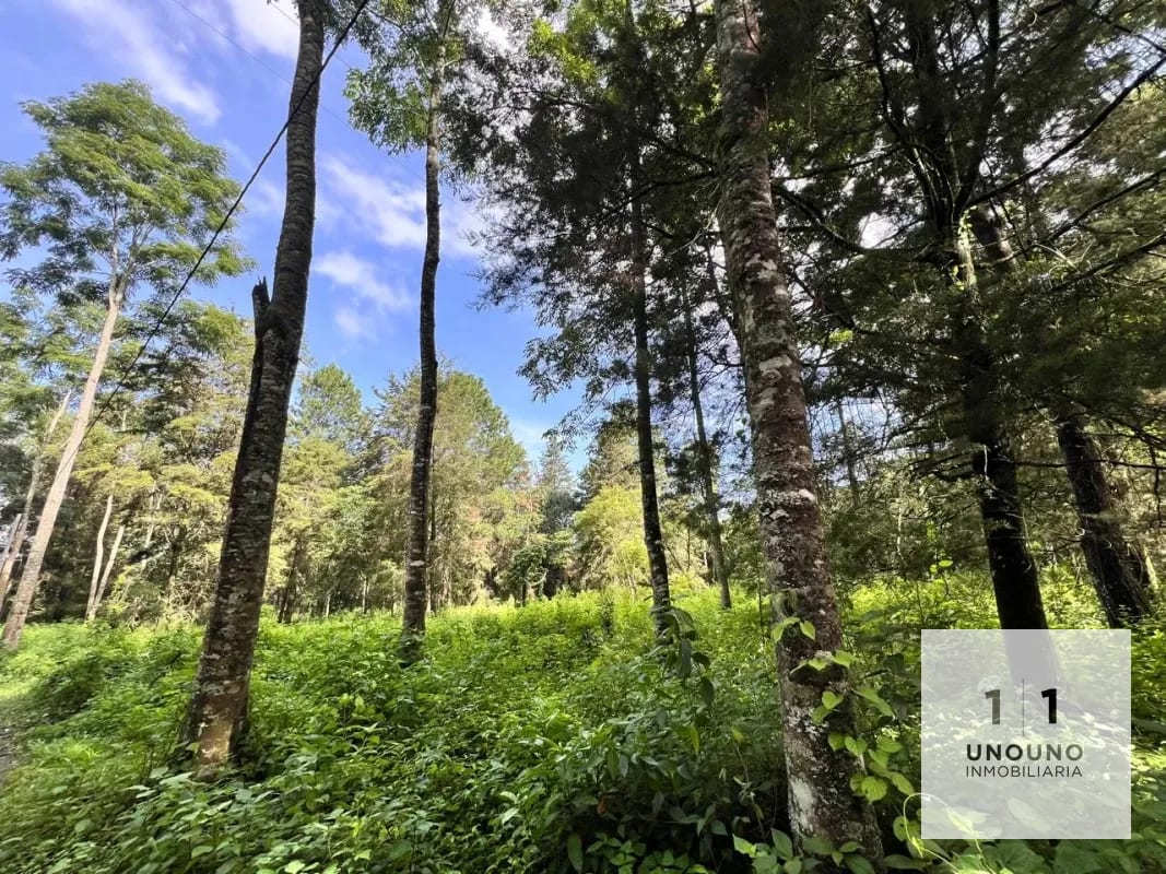 Propiedad en venta en Villa Canales — Terreno en Venta en Villa Canales, Guatemala, Ciudad — foto 4 de 5