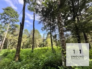 Propiedad en venta en Villa Canales — Terreno en Venta en Villa Canales, Guatemala, Ciudad — miniatura 4 de 5