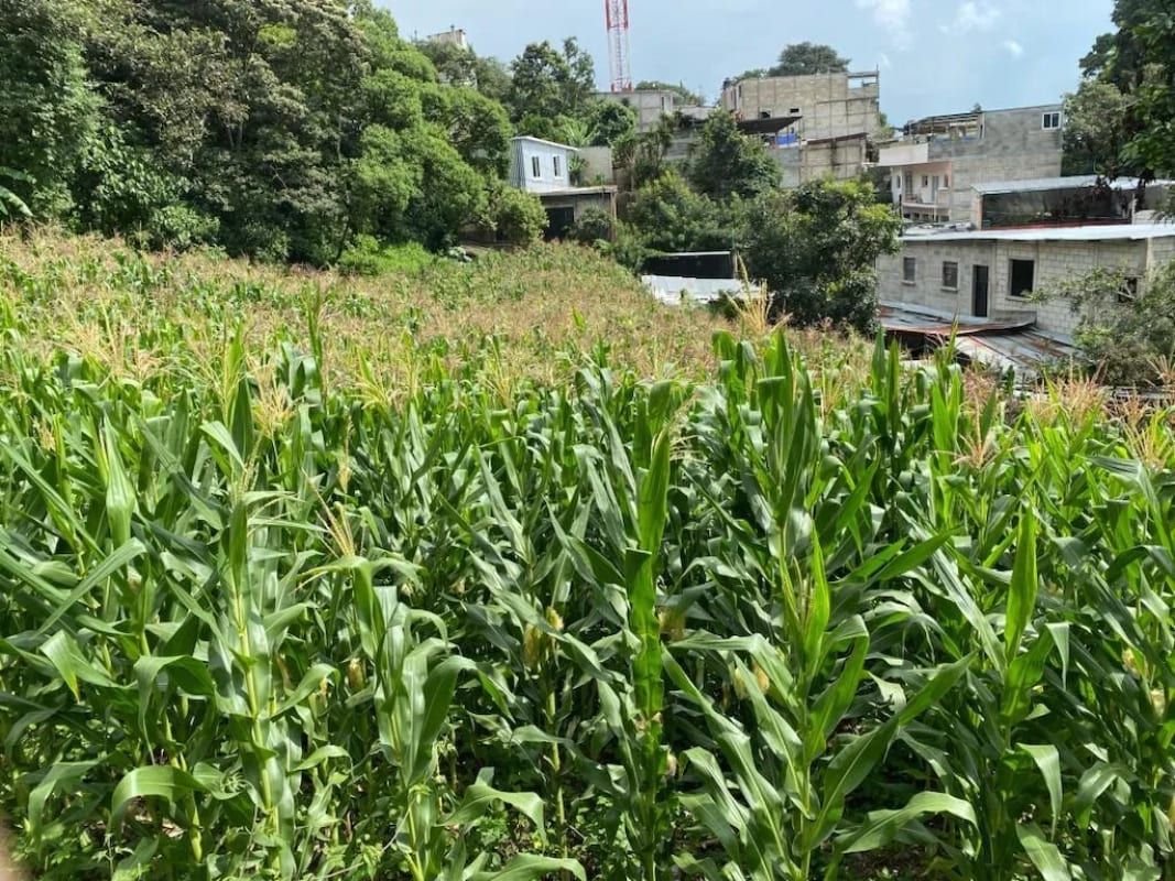 Terreno en Santa Catarina Pinula — Terreno en Alquiler en Santa Catarina Pinula, Guatemala, Ciudad — foto 2 de 2