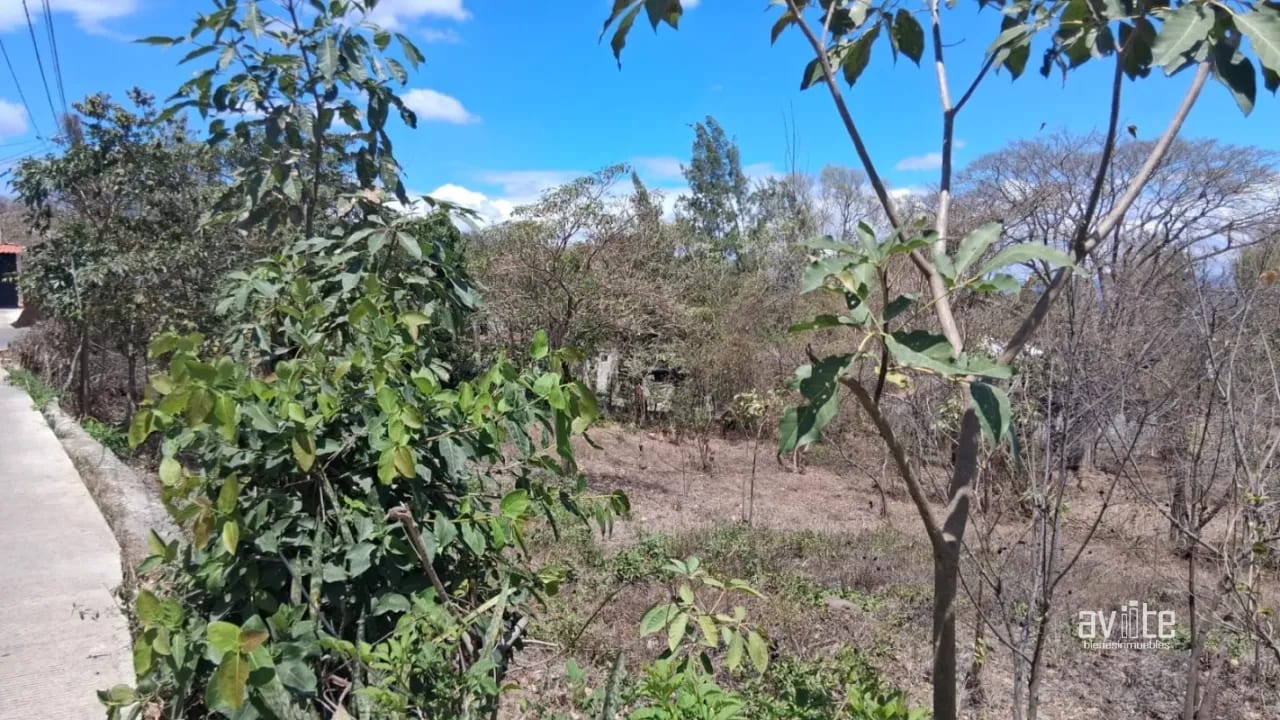 Terreno de 1,510 metros en San Antonio La Paz, El Progreso Q550,000 — Terreno en Venta en San Antonio La Paz, El Progreso — foto 1 de 7