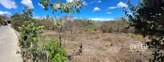 Terreno de 1,510 metros en San Antonio La Paz, El Progreso Q550,000 — Terreno en Venta en San Antonio La Paz, El Progreso — miniatura 2 de 7