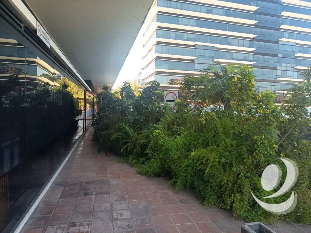 Rento Oficina en Zona 10, Ciudad de Guatemala.  Design Center – Frente a Oakland Mall. — Oficina en Alquiler en Zona 10, Guatemala, Ciudad — foto 11 de 17