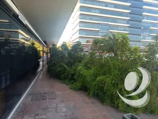 Rento Oficina en Zona 10, Ciudad de Guatemala.  Design Center – Frente a Oakland Mall. — Oficina en Alquiler en Zona 10, Guatemala, Ciudad — miniatura 11 de 17