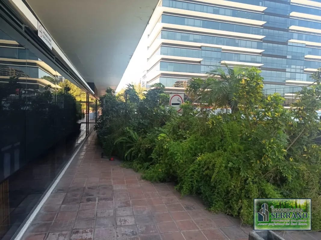 Rento Oficina en Zona 10, Ciudad de Guatemala. Design Center – Frente a Oakland Mall. — Oficina en Alquiler en Zona 10, Guatemala, Ciudad — foto 11 de 17