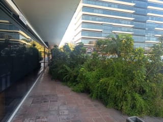 Rento Oficina en Zona 10, Ciudad de Guatemala. Design Center – Frente a Oakland Mall. — Oficina en Alquiler en Zona 10, Guatemala, Ciudad — miniatura 11 de 17