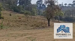 VENTA TERRENO PARA DESARROLLO KM 41 RUTA SUMPANGO — Terreno en Venta en Sumpango, Sacatepéquez — miniatura 6 de 6
