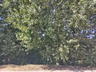 Vendo Terreno Condominio Sausalito, Fraijanes.. — Terreno en Venta en Sausalito, Carretera a El Salvador, Guatemala, Ciudad — miniatura 11 de 17