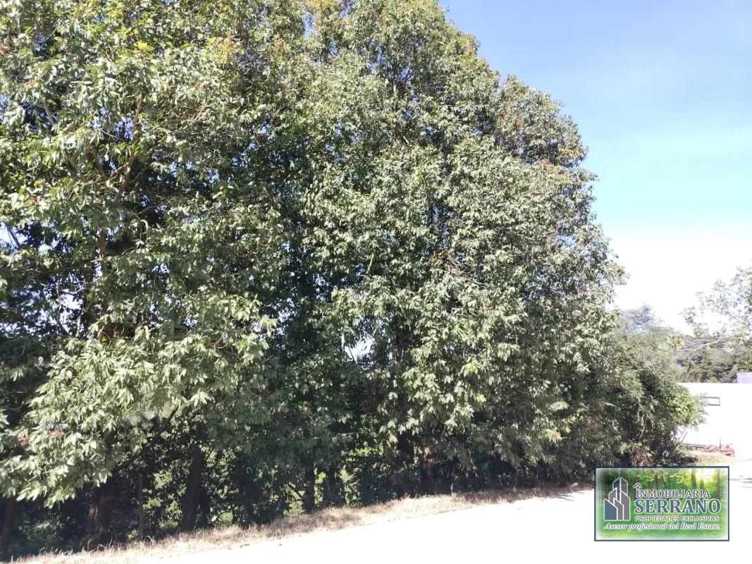 Vendo Terreno Condominio Sausalito, Fraijanes.. — Terreno en Venta en Sausalito, Carretera a El Salvador, Guatemala, Ciudad — foto 9 de 17
