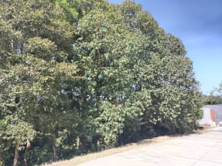 Vendo Terreno Condominio Sausalito, Fraijanes.. — Terreno en Venta en Sausalito, Carretera a El Salvador, Guatemala, Ciudad — miniatura 7 de 17